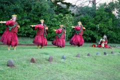 HH Hula