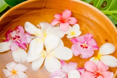 Massage-7857