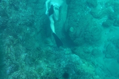 DSCF0784