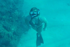 DSCF0785